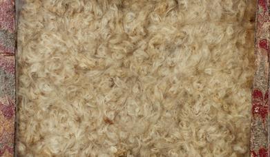 Image of Asciepias incarnata, Apocynaceae, from North America, copyright Natural History Museum. The box is wrapped in red, yellow and green marbled p