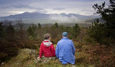 Castlewellan Forest Park - Slievenaslat Walk