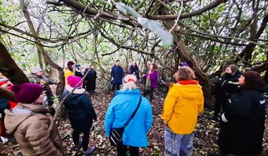 Body song Ireland group walking in Castlewellan Forest Park
