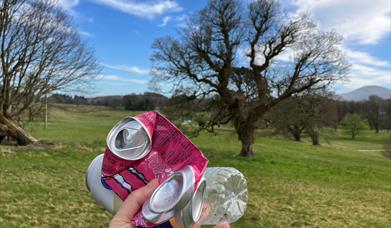 Litter at Castlewellan Forest Park