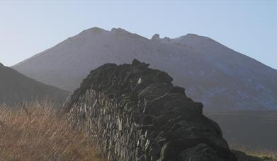 Tollymore Forest Park - Mountain & Drinns Trail