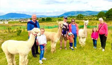 3 Generations Enjoying a Field Walk