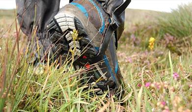 Walking boots on grassland