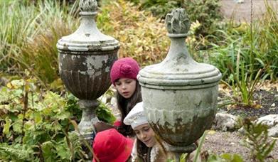 Rowallane Garden - Woodland Walk