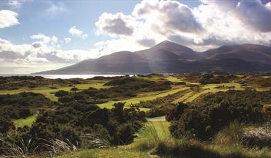 View of Royal County Down Golf Course and Slieve Donard Mountain