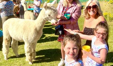 Ladies and children feeding Alpaca