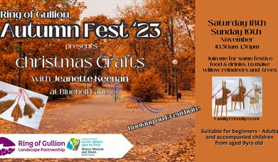 Ring of Gullion Autumn Fest23 - Willow weaving Christmas Crafts