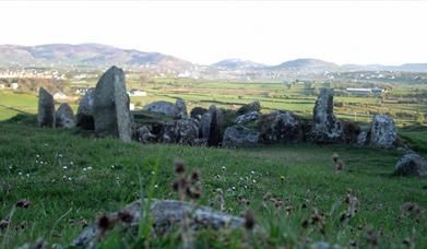 An image of Ballymacdermot Court Tomb / Co. Armagh