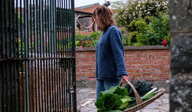 Mollie Ballytrim Pantry