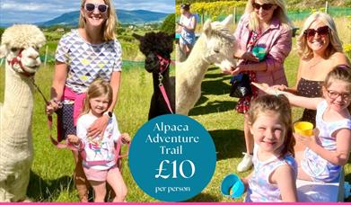 Cranfield Alpacas - Summer Adventure Trail