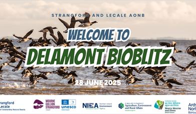 Delamont Bioblitz