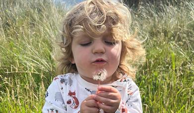 A child blowing a dandilion in a field of long grass.