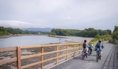 Family cycling along Carlingford Lough Greenway