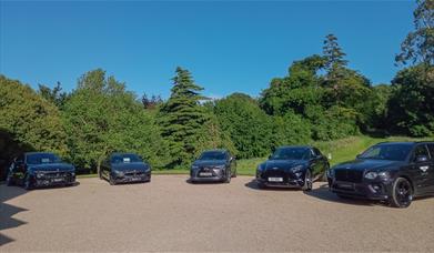 Super cars on the lawn at Castle Ward