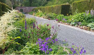 Castlewellan Arboretum and Annesley Garden EHOD 2025