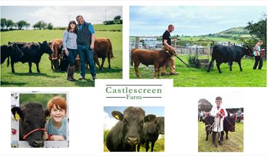 Castlescreen Farm