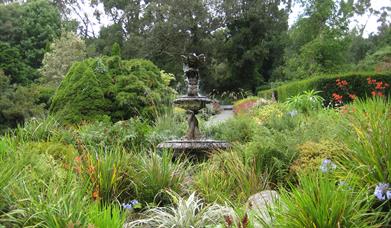 Castlewellan Arboretum