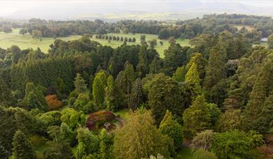 An aerial view of Castlewellan Forest Park