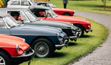 image of 5 Classic Cars parked at Montalto