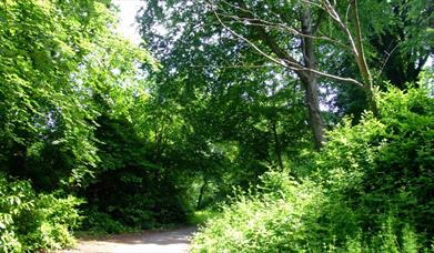 Delamont Mullagh Walk