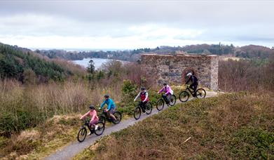 Mourne Trails & Ales Tour