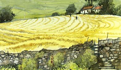 Watercolour image of a rural County Down landscape. Visible in the foreground is a stone fence, and behind is a field  of a yellow colour with marks i