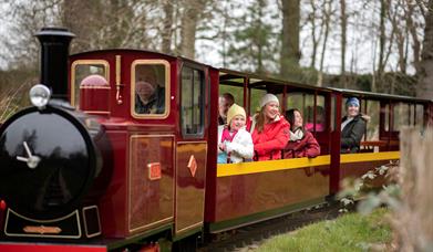 Miniature train in Delamont Country Park with people