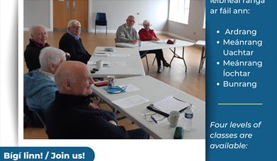 Dianchúrsa / Intensive Irish Language Course