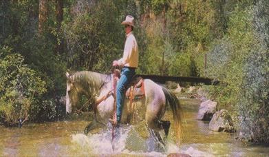 Western style man riding horse in river