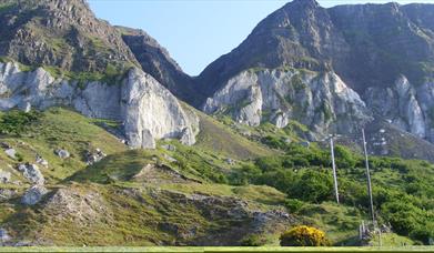 Open Road Skies Cycling Tours