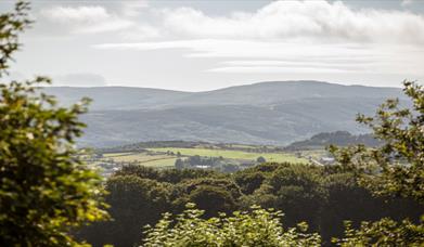 Mountain Views at Slieve Gullion Forest Park