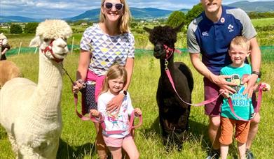 Cranfield Alpacas Field Walk