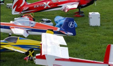 Model aeroplanes sitting on the grass ready to fly.