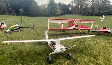Model aeroplanes in a field