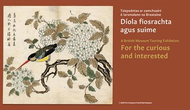 Exhibition banner image featuring a woodblock print of  a multicoloured small bird on a flowery branch.