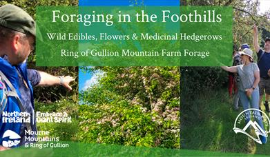 Foraging in the Foothills Banner