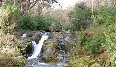 Glen River, Newcastle