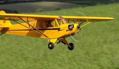 Model aeroplanes sitting on the grass ready to fly.
