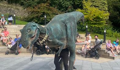 Dino Discovery at Slieve Gullion Forest Park