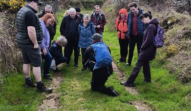 Foraged Food Slieve Gullion