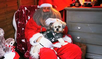 dog on santa's lap, Ballynahinch County Down
