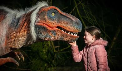 The Jurassic Express