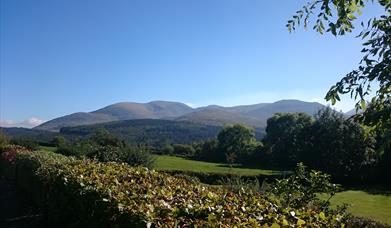 View from Kilcoo to Mourne Mountains