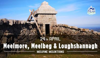 Stone wall with wooden ladder