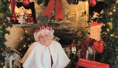 Mrs Claus with Christmas Decorations and Christmas Tree