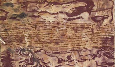 Image featured: Ground Being. Soft pastel and charcoal on cardboard