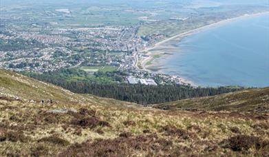 Views over Newcastle