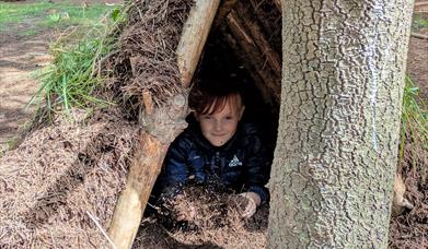 Child looking out from behind tree