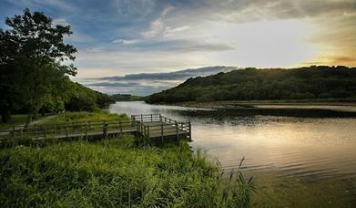 Quoile River view with platform