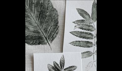 nature prints by Ruth Osborne